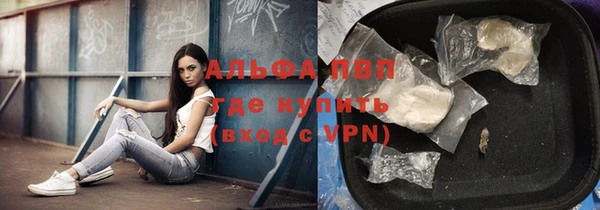 сатива Киренск