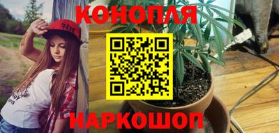 Альфа ПВП Нальчик