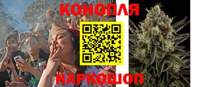 Альфа ПВП Нальчик