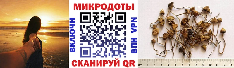 Галлюциногенные грибы ЛСД  Купить где  Подольск 