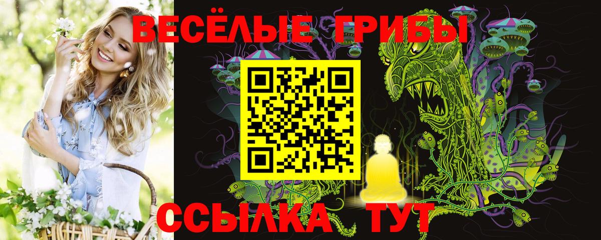 Подольск  Псилоцибиновые грибы GOLDEN TEACHER  Вход с VPN 