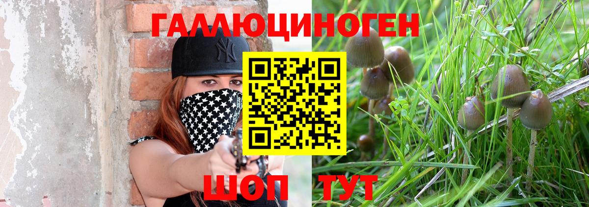 Псилоцибиновые грибы Cubensis Подольск